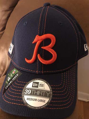 Chicago Bears New Era NFL Sideline Flexfit M/L