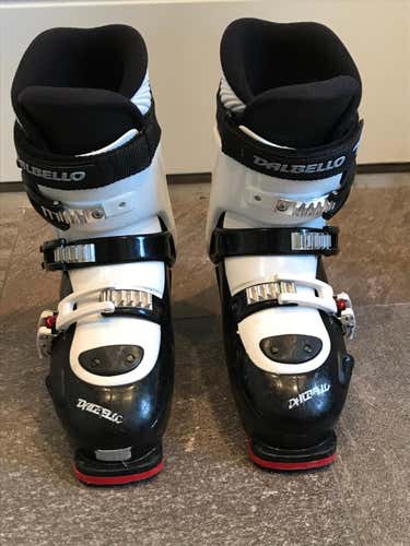 Dalbello Downhill Unisex Ski Boots (287MM). Don't waste money on rentals when you can buy.