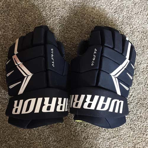 Blue Senior Warrior Alpha DX5 14"  Gloves