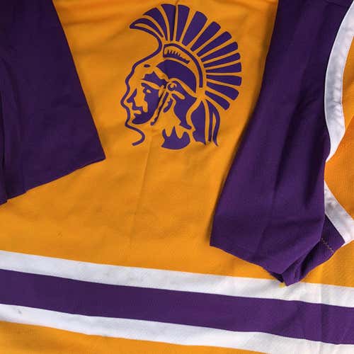 Trojan Goalie Cut Jersey LA Kings Purple Gold