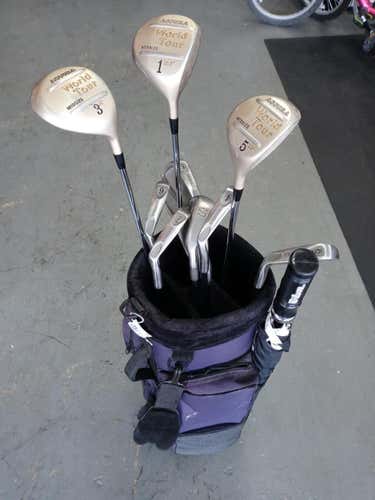 Used Accura World Tour 11 Piece Steel Regular Golf Mens Package Sets
