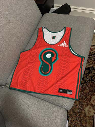 PLL Whipsnakes pinny