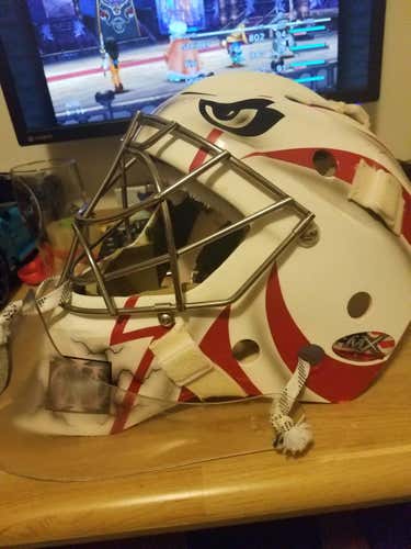 Used Senior Eddy LeRoc Goalie Mask