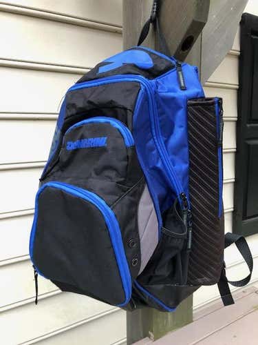 Used DeMarini Bat Bag in Great Condition