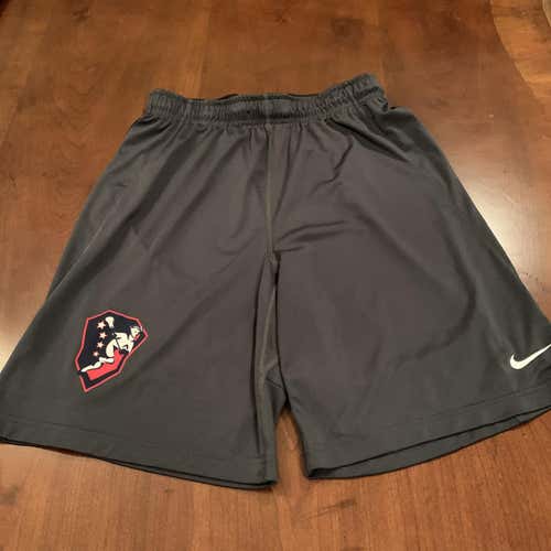 Gray Adult Medium Nike Shorts