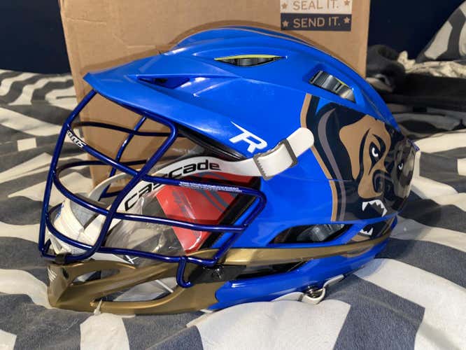 Brand New Vintage Charlotte Hounds helmet