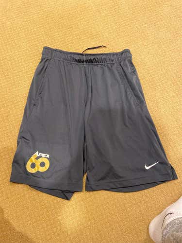Gray Adult Medium Nike Shorts