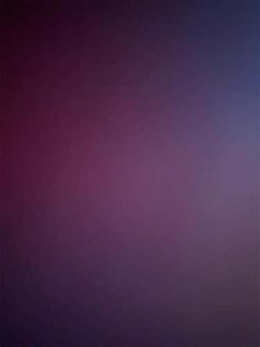 Bundle Listing Sweatpants