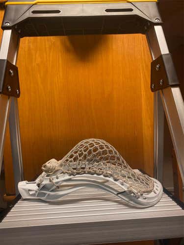 White Used FOGO Strung CEO Head