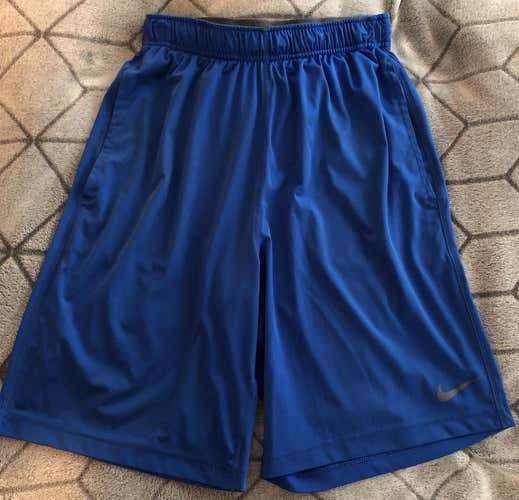 Used Blue Small Nike Dri-Fit Shorts