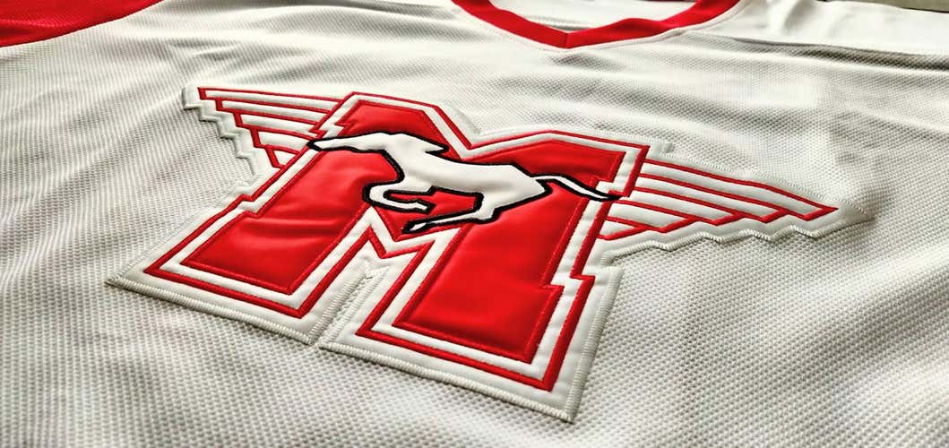 Hamilton Mustangs #10 Youngblood jersey