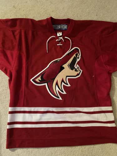 06/07 Phoenix Coyotes Home Jersey