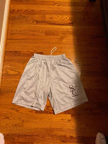 Gray Adult Medium Salisbury College Mesh Football Shorts
