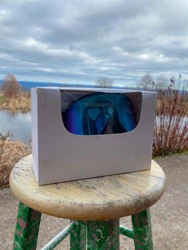 Blue Unisex POC Medium Ski Goggles