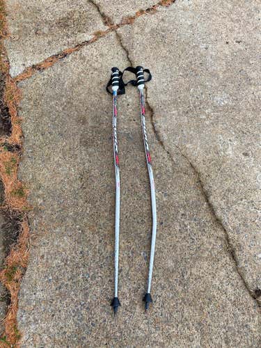 Used 42in (105cm) Racing GS Ski Poles
