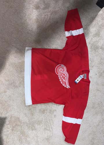 Detroit Red Wings And LA Kings CCM Pro Style Game Style Size 48 Authentic New Jersey