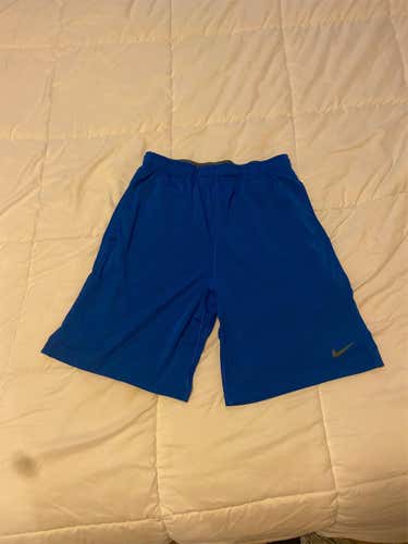 Blue Adult Large Nike Shorts