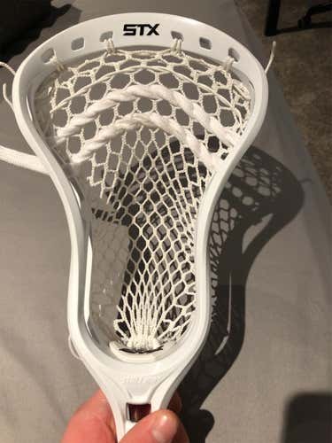 New Strung Stallion U 550 Head