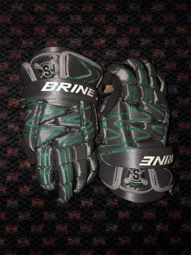 Dublin Scioto Brine Silo Gloves