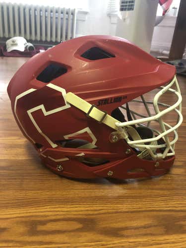 Cornell Team Issued Helmet