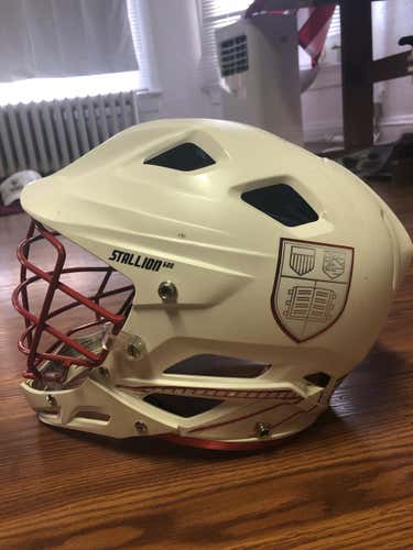 Cornell Team Issued Helmet