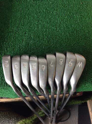 Custom Fit WD Golf Irons Set 2-PW Regular Steel Shafts