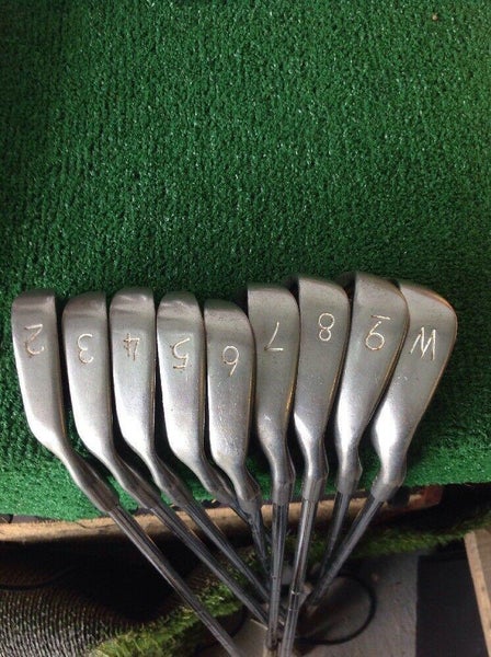 Custom Fit WD Golf Irons Set 2-PW Regular Steel Shafts