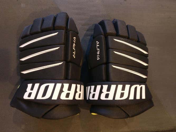 Used Senior Warrior Gloves 14"
