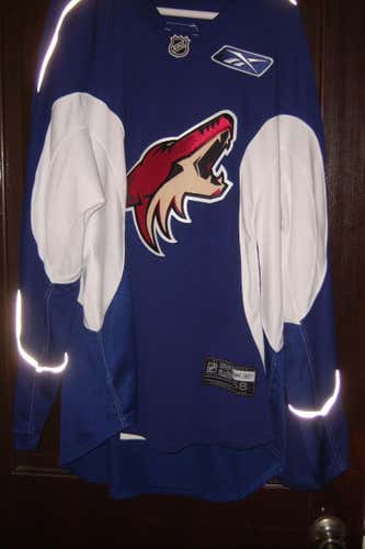 Phoenix Coyotes unused blue Reebok old logo practice jersey w/ white gussets (size 58) from 2009-12