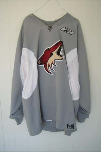 Phoenix Coyotes #65 gray old-logo Reebok practice jersey w/ white gussets (size 56 sewn on tail)