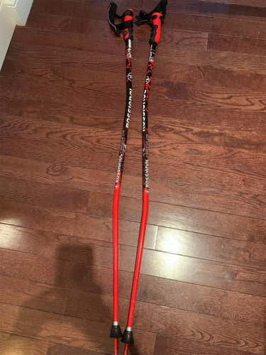 Rossignol Racing Ski Poles