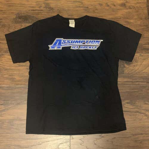 Assumption University Worcester, MA NCAA Ice Hockey Team T-Shirt Sz Large