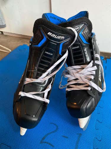 Senior Bauer Nexus 1N Regular Width Size 8 Hockey Skates