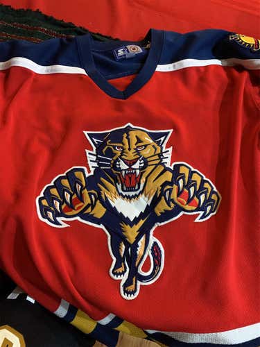 Florida Panthers 93