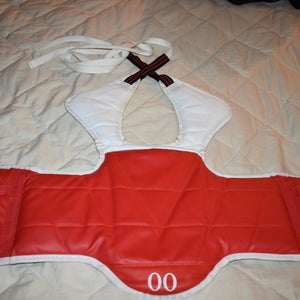 Martial Arts Reversible Chest Protector - Great Condition