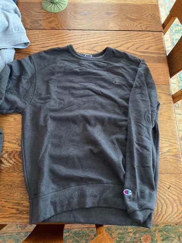 Gray Adult Medium Champion Sweatshirt