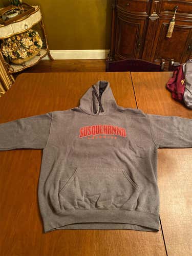 Gray Adult Large Other Sweatshirt