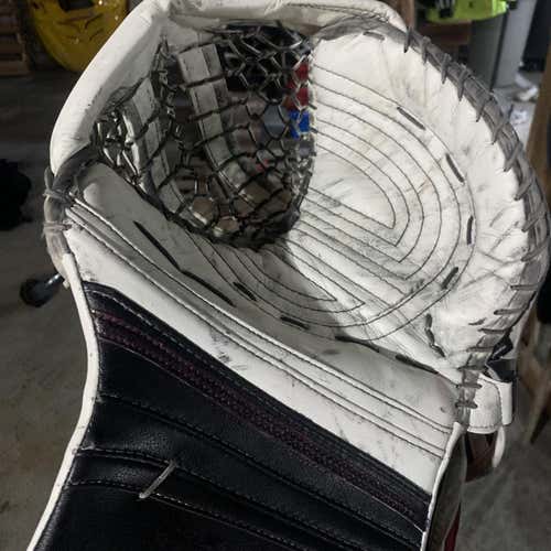 Senior Regular Premier Pro