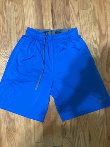 Blue Adult Large Nike Shorts