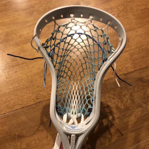 Maverik Bull Head New
