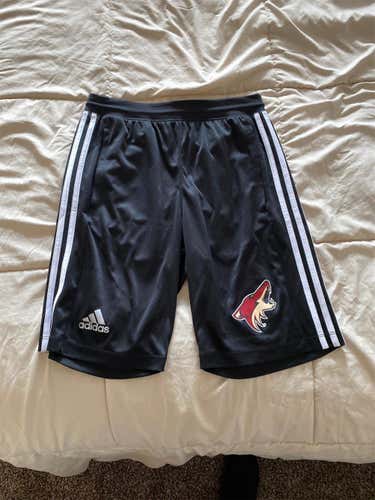 Pro Stock Arizona Coyotes Black Adidas Training Shorts