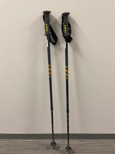 Used 48in (120cm) All Mountain Ski Poles