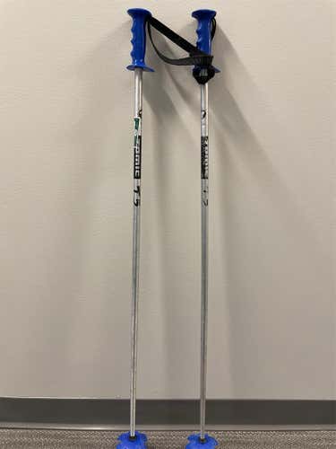 Used 44in (110cm) All Mountain Ski Poles