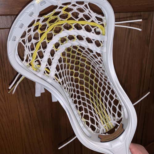 New Stallion Omega With Throne Fiber 2