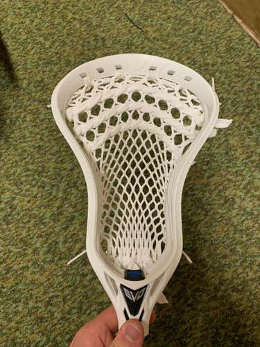 New Warrior Evo 5 Head