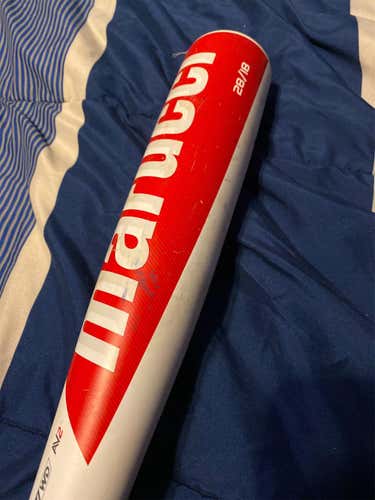 Kid Pitch (9YO-13YO) 2019 Alloy CAT 8 (-10) 18 oz 28" Bat