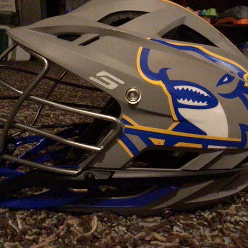 Connecticut Hammerheads Game Worn and Autographed helmet