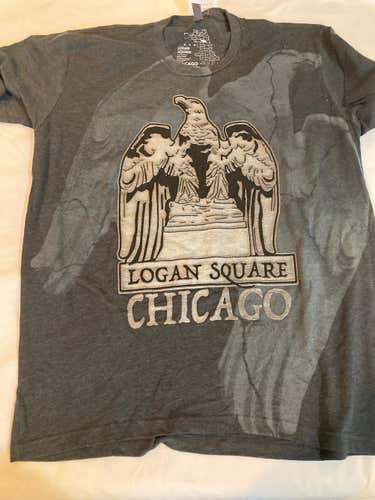 Chicago Logan Square Medium