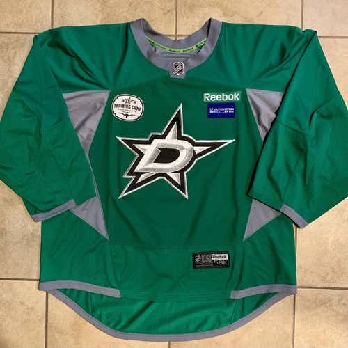 Pro Stock Dallas Stars 2013 Training Camp Reebok Goalie Cut Jersey