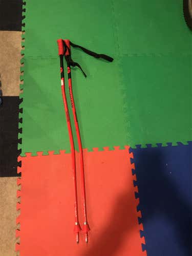 Used 46in (115cm) Racing HERO GS/SG Ski Poles